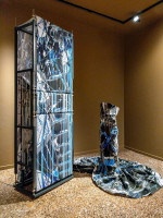 Beschleunigte Evolution_1